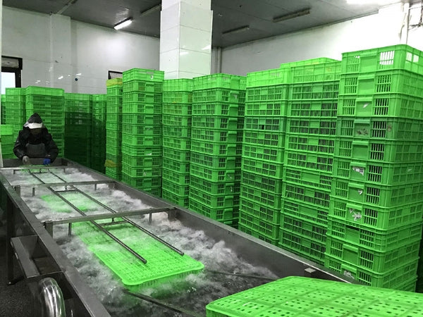 Zhucheng Ruite Machinery Co., Ltd.